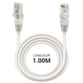 Câble Ethernet RJ45 Cat.6 UTP 1 m